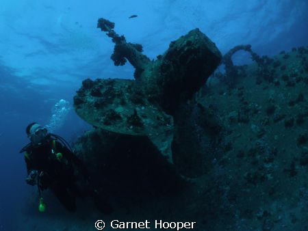 Diver next to the port side prop of the Salem Express. Ta... by Garnet Hooper 