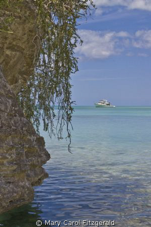 Taken in Sapodilla Bay, Turks & Caicos Islands on an Outb... by Mary Carol Fitzgerald 