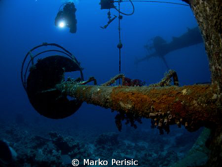 A diver descends towards one of the crows nest for a clos... by Marko Perisic 