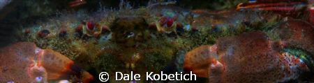 shot in good old Newport Beach california under the pier.... by Dale Kobetich 