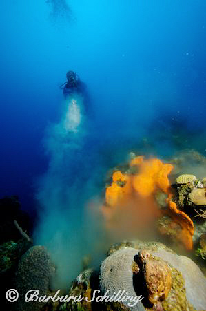 Sponge Volcano ..... by Barbara Schilling 