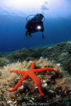 Do you feel like a star ?  :)  Nikon 10.5mm Fish-eye with... by Andre Yanco 
