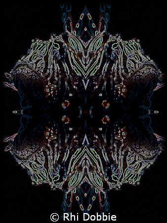 "Four Lions" - Canon G9 & 1 Inon z240 Strobe. Mirror imag... by Rhi Dobbie 