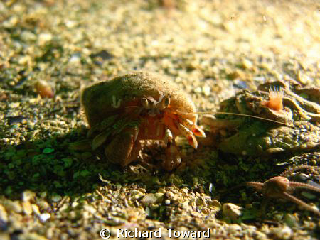 Taken off St Abbs Head Scotland with Canon A570is and Epo... by Richard Toward 