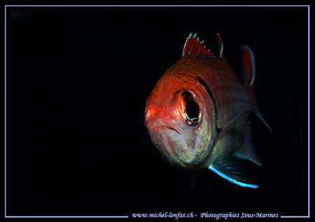 Face to face with this beautiful Blackbar Soldierfish tak... by Michel Lonfat 