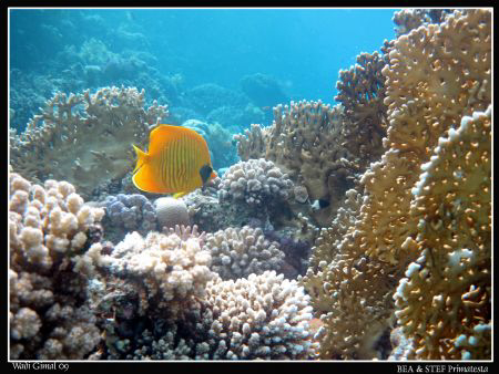 First try with the Magic Filter, not spectacular shot but... by Bea & Stef Primatesta 
