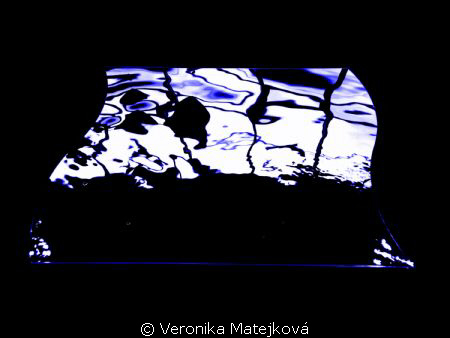 ..reflection .. by Veronika Matějková 