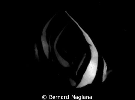 Underexposed... by Bernard Maglana 