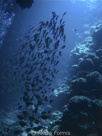 Dahab Canyon 2008 Sony w-300 by Pietro Formis 
