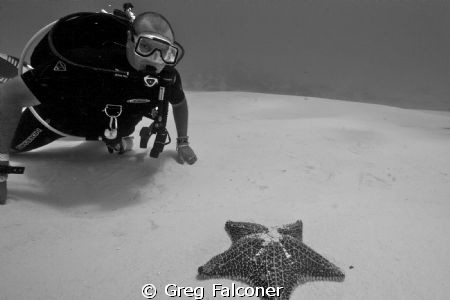 Miguel checking out a starfish.   Shot using Canon 20D wi... by Greg Falconer 