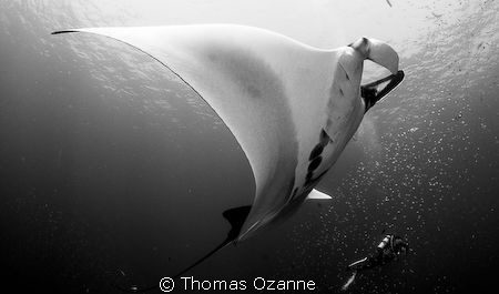 This is one of my favourite shots to date... We were havi... by Thomas Ozanne 