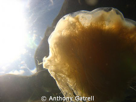 No strobe, No filters or lenses.  Just the camera and hou... by Anthony Gatrell 