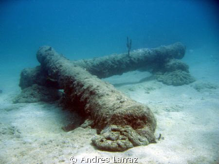 CANONS  Artificial reef system off LBTS,FL by Andres Larraz 