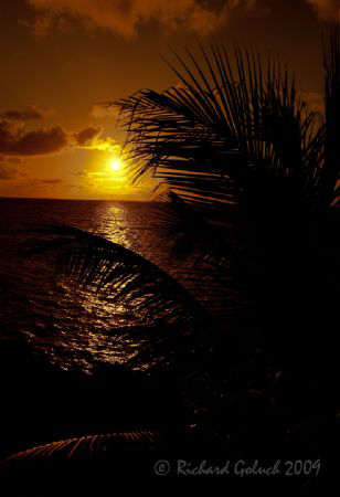Roatan 2009-Sunset by Richard Goluch 