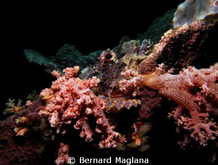 Angels Cove, Talikud Island, Davao by Bernard Maglana 
