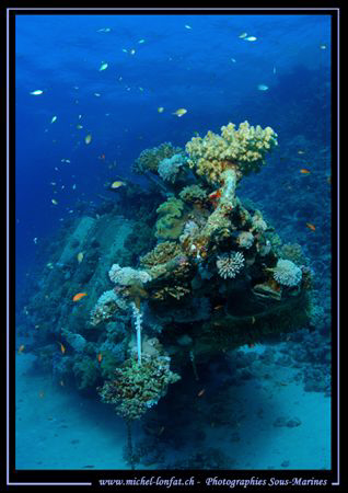 A very nice Wreck in the Red Sea... Que du Bonheur... :O)... by Michel Lonfat 
