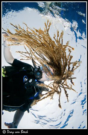 Rasta diver. by Dray Van Beeck 