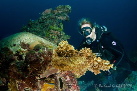 Diver checking wing of Emily Flying Boat-Truk Lagoon 2008 by Richard Goluch 