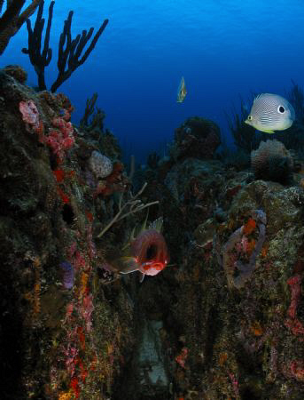 At Culebra, PR. by Juan Torres 