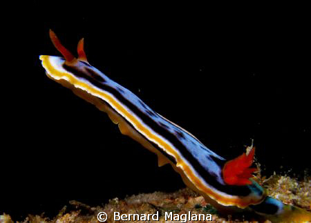Reachin Out... by Bernard Maglana 