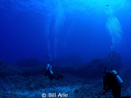 Big Island, Hawaii.  Olympus SP350 and Inon wide angle lens. by Bill Arle 