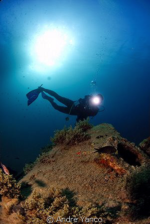Diver posing infront of a sunken water treatment tanker, ... by Andre Yanco 