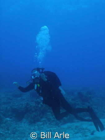 You shoot me..I shoot you.  Dive buddy. Big Island, Hawai... by Bill Arle 