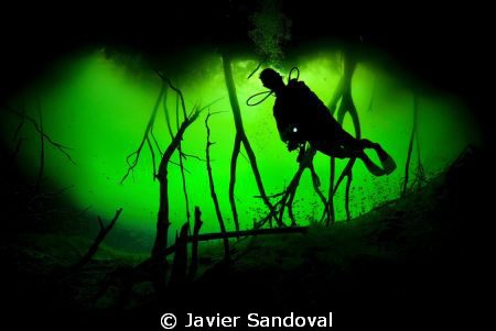 scuba diver siluet in cenote carwash entrance by Javier Sandoval 