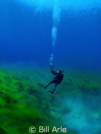 Photography dive. Clear Lake, Oregon, USA.  In the Oregon... by Bill Arle 