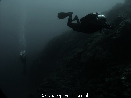 Canon S3 IS with ikelite housing and wide angle lens. by Kristopher Thornhill 