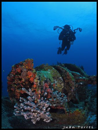A diver at the WIT Concrete wreck. by Juan Torres 