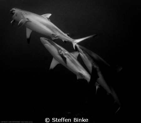 Food by Steffen Binke 
