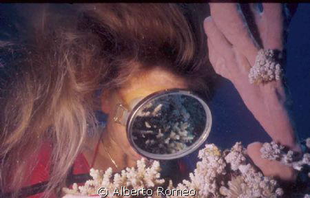 Reflexion of corals on the mask of girldiver that is watc... by Alberto Romeo 