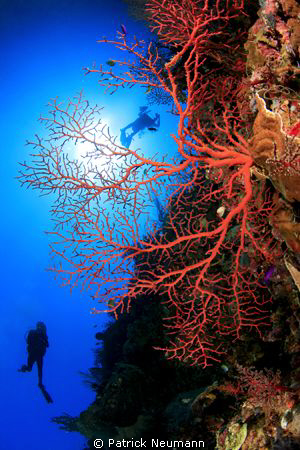 Wall in Papua taken with Canon 400D/Hugyfot by Patrick Neumann 