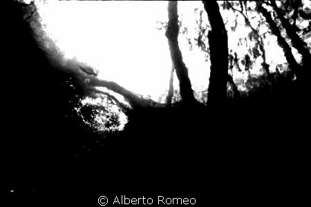 Cave Diving in fresh water. Little fish near the bubble a... by Alberto Romeo 