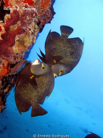 Photos taken at Fredericksted Piers in Saint Croix Canon ... by Ernesto Rodriguez 