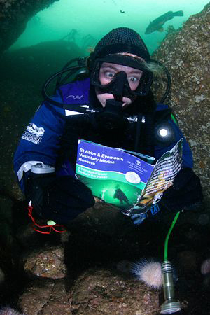 Heather you need to read the guide before the dive? St Ab... by Jim Garland 