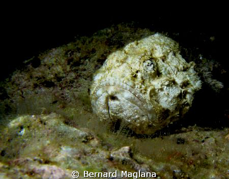White Stone? by Bernard Maglana 