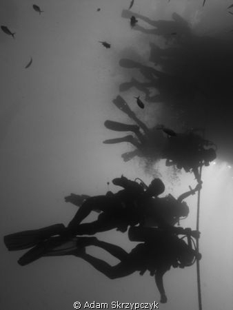 Human flagpoles - divers waiting for safetystop at the HM... by Adam Skrzypczyk 
