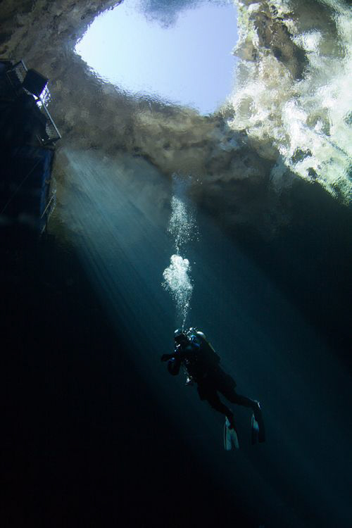 Deco Stop in Kilsby's Sink Hole - Mt Gambier South Austra... by Mick Tait 
