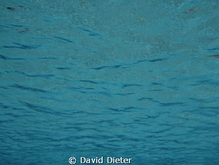 looking up at clear water by David Dieter 