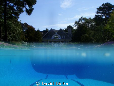 1/2 and 1/2 by David Dieter 