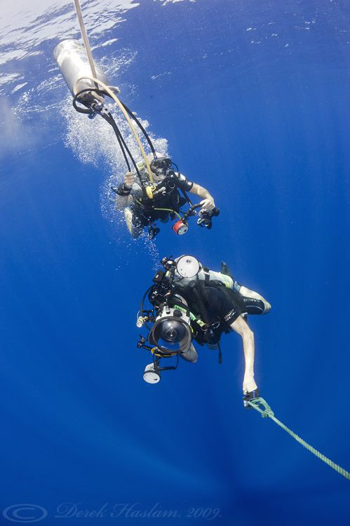 Hanging on! Elpinstone. D3, 16mm. by Derek Haslam 