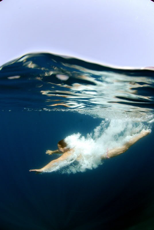 Quick jump after the dive! by Andy Kutsch 