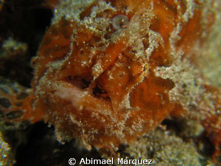 I see you, Crash Boat Pier, Aguadilla, P.R. by Abimael Márquez 