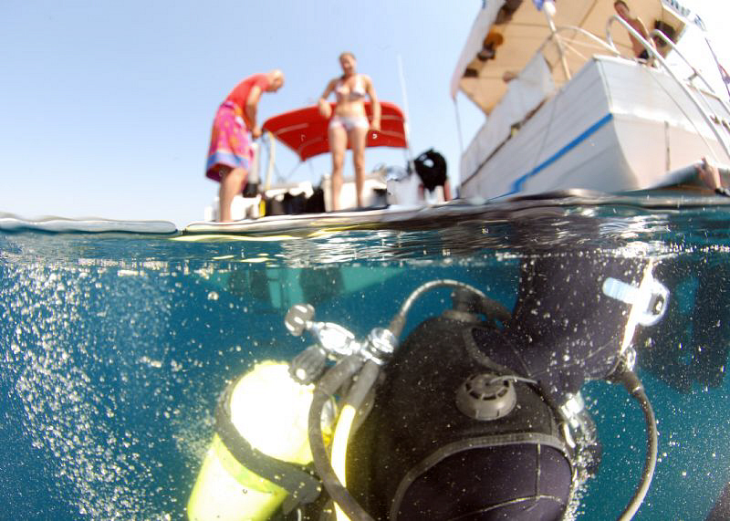 just coming up from the dive ..... by Andy Kutsch 