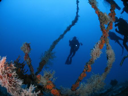 My diving buddy in the WIT Concrete by Juan Torres 