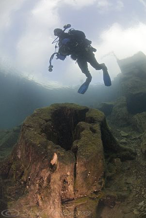 Mr T over the same tree trunk!. Capernwray. D200, 10.5mm by Derek Haslam 