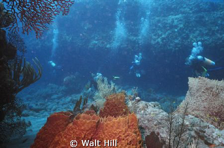 Cozumel - Palanchar Breaks by Walt Hill 