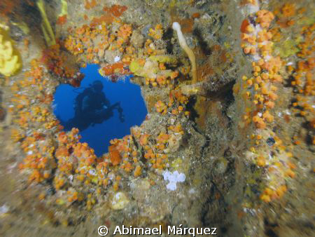 Looking through the window of the wreck, Wit Shoal, St. T... by Abimael Márquez 